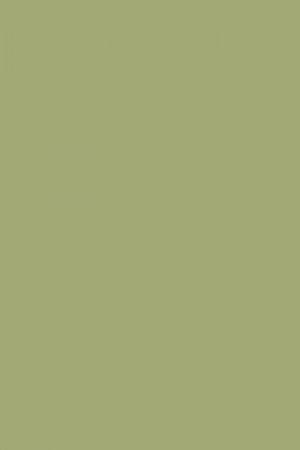 FARROW AND BALL SAXON GREEN NO. 80 PAINT